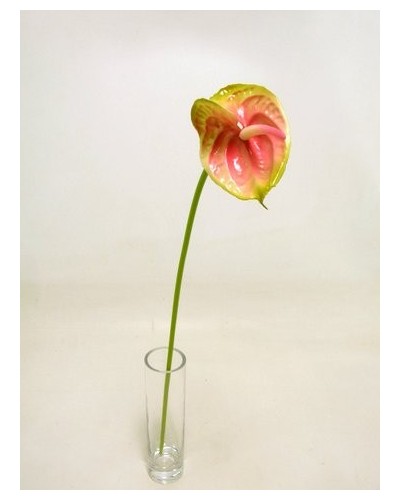 Ramo anthurium piccolo h 57...