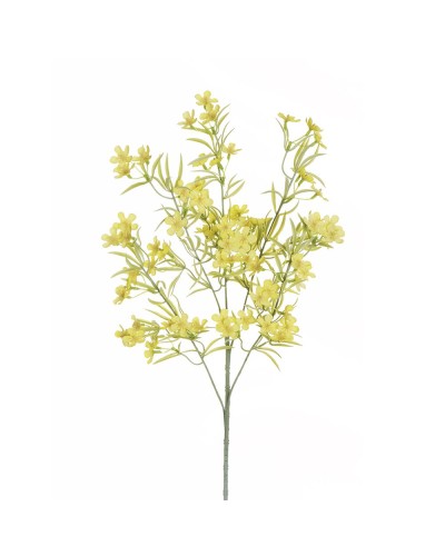 Ramo di fiori x5 bovardia h...