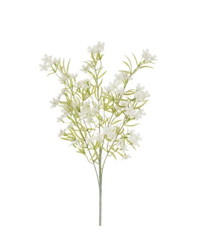 Ramo di fiori x5 bovardia h...