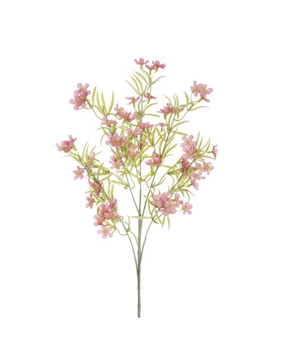 Ramo di fiori x5 bovardia h...
