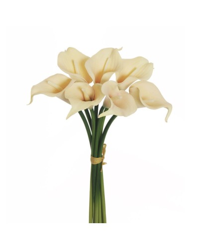 Mazzo x 7 calle h 34 ivory...