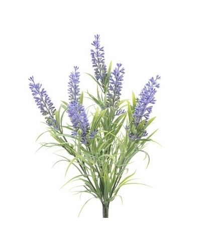Pick lavanda x 7 cm 13h34...