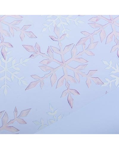 Bobina icy cm 100x25 mt...