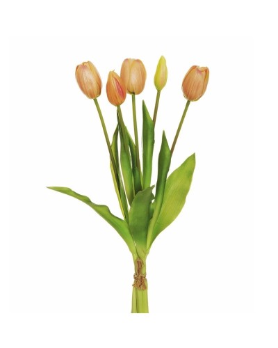 Mazzo tulipani real touch...