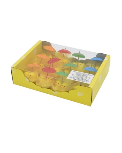 Box 12 pulcini combrellino