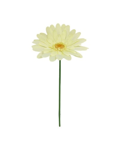 Ramo fiore margherita di...