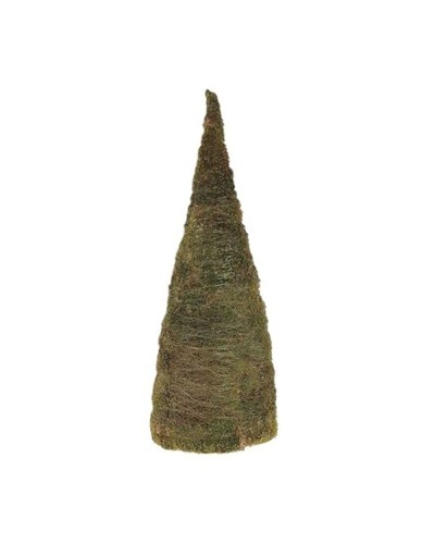 Albero cono in muschio...