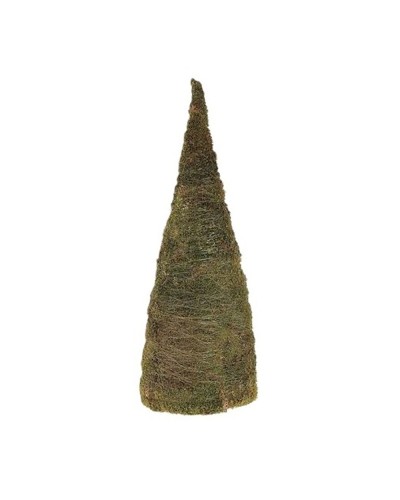 Albero cono in muschio...