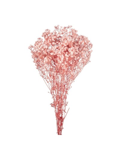 Cf 120gr gypsophila...