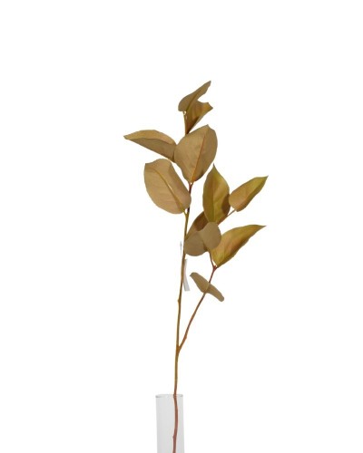 Foglia salal 11fg marrone