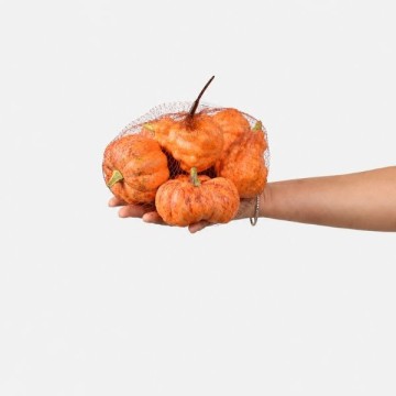Collezione Autunno
