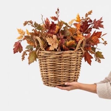 Collezione Autunno