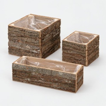 Collezione Autunno