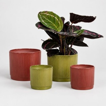 Collezione Autunno