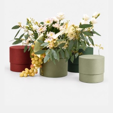 Collezione Autunno
