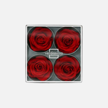 Rose Stabilizzate Ingrosso: Rose Eterne | FlorStyle
