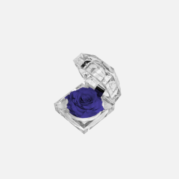 Rose Stabilizzate Ingrosso: Rose Eterne | FlorStyle