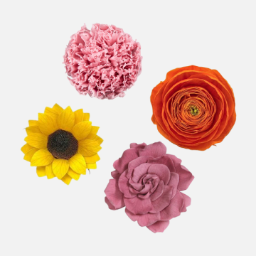 Fiori Secchi e Stabilizzati per Fioristi | FlorStyle