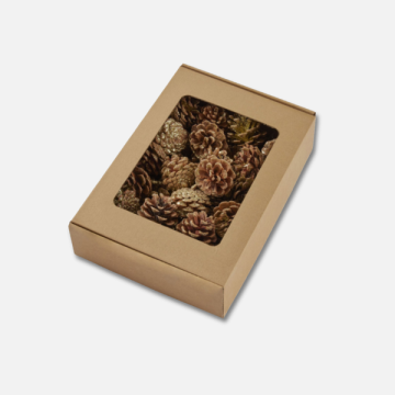 Fiori Secchi e Stabilizzati per Fioristi | FlorStyle