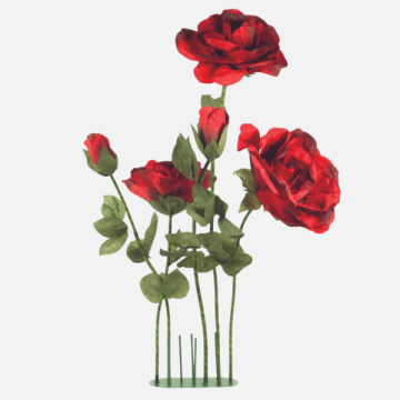 Collezione San Valentino