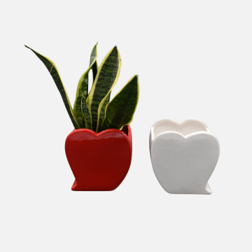 Collezione San Valentino