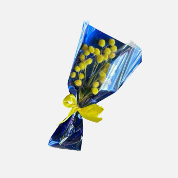 Festa della donna